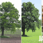 Votre entreprise est-elle vraiment propre? Un grand ménage saisonnier pourrait bien révéler le contraire.